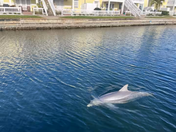 Coquina corner condo in St. Petersburg