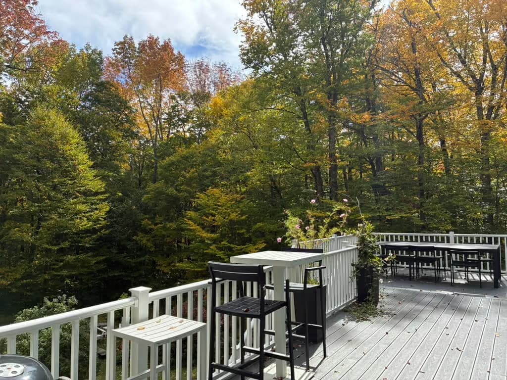 Nina's deck with bar seating overlooking the woods
